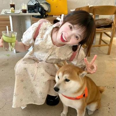 贝壳与牧师